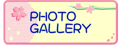 PHOTO GALLERY